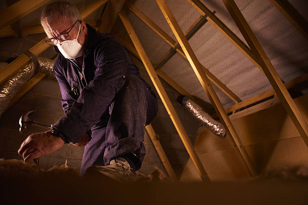 Best Residential Insulation in Sellersburg, IN